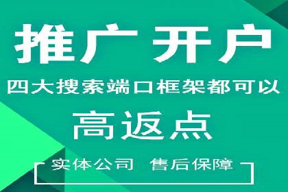 案例展示：SEM推广助力品牌知名度提升